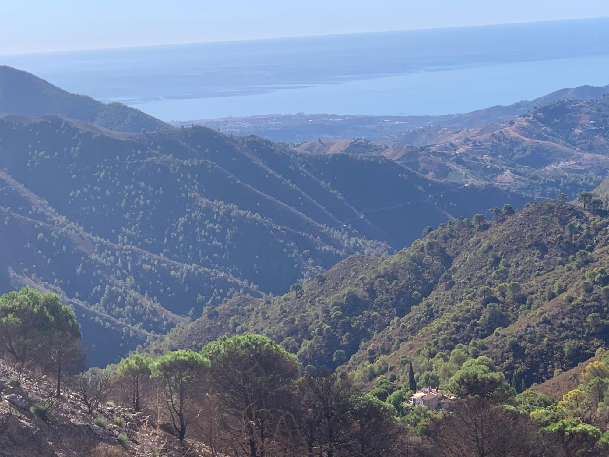 Finca El Almendro Málaga Esterno foto