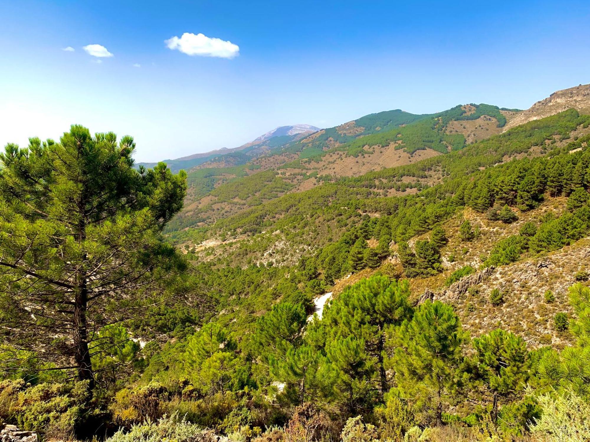 Finca El Almendro Málaga Esterno foto